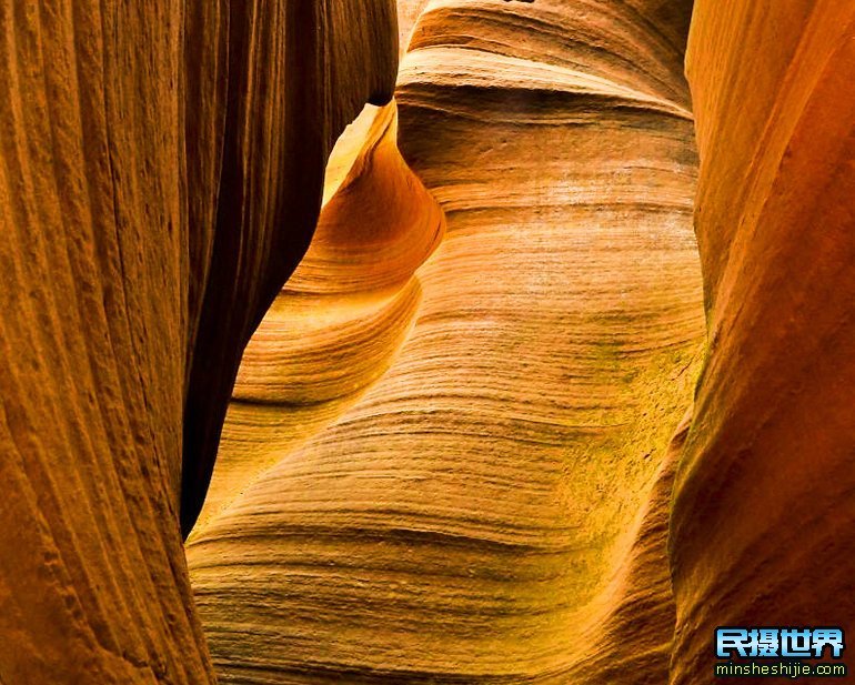 额济纳胡杨林摄影团-怪树林-七彩丹霞-波浪谷-雨岔大峡谷摄影 额济纳胡杨林摄影团-怪树林-七彩丹霞-波浪谷-雨岔大峡谷摄影