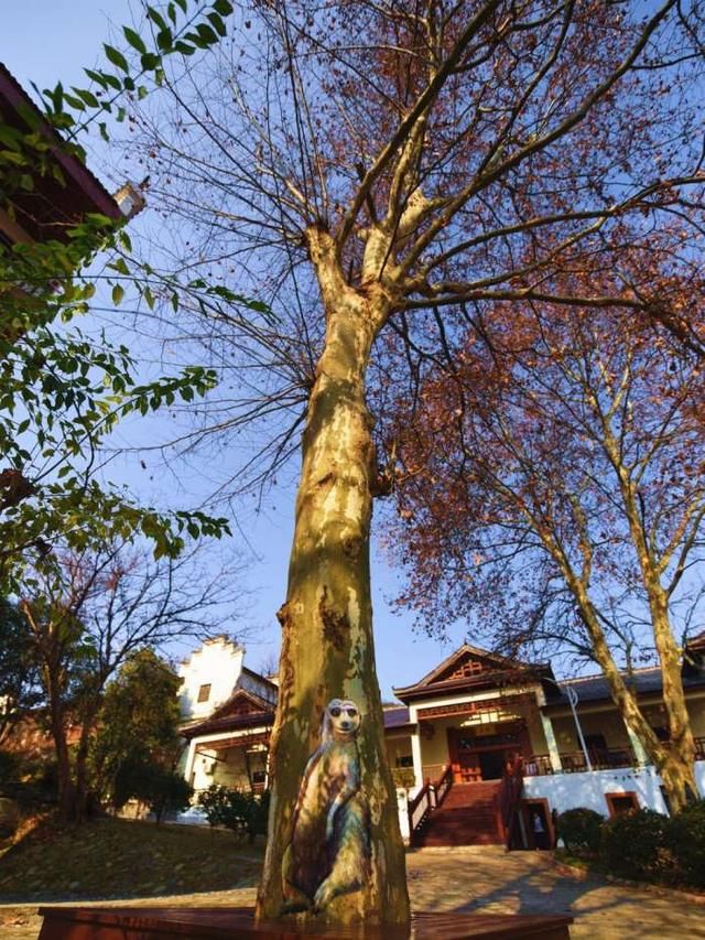 武汉黄陂最美的景区之一,风景如画,离市区仅4