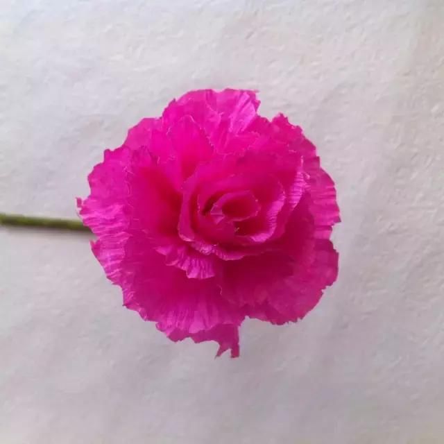 皱纹纸粉色手工康乃馨,幼儿园新学期创意,美美