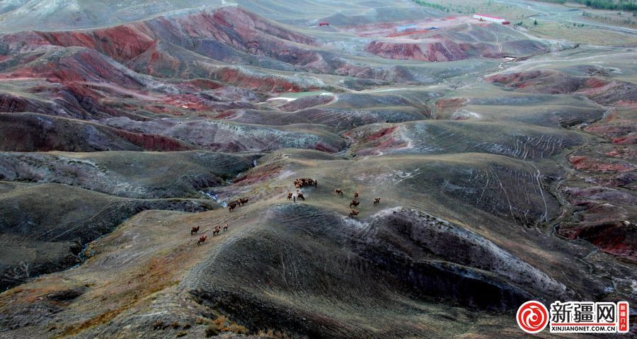 独山子景区地貌(米东区摄影家协会供图)