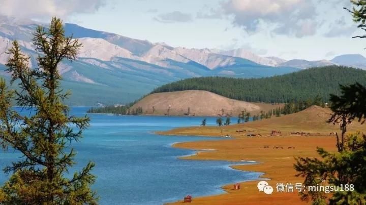 俄罗斯到处扩张,为什么唯独没有把蒙古纳入帝