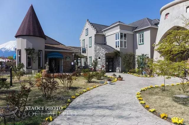 日本富士山|樱花季美哭了,旅行全攻略收藏起来