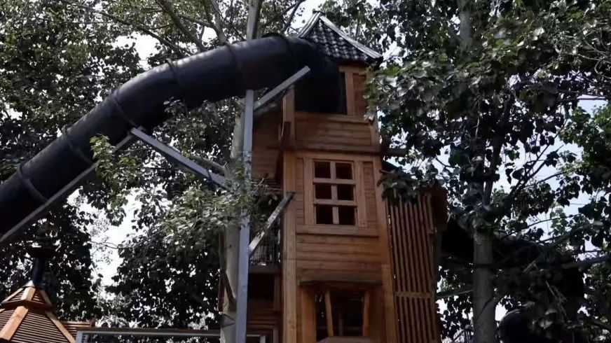 露营好去处|野趣升级,来蝌蚪神奇大陆解锁遛娃新体验 露营好去处|野趣升级,来蝌蚪神奇大陆解锁遛娃新体验