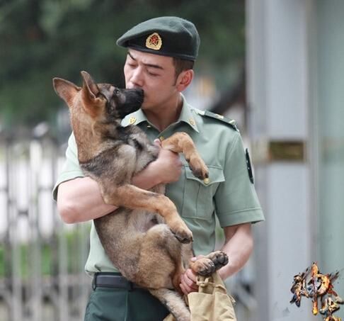 完了!这次真心不敢再骂张馨予了