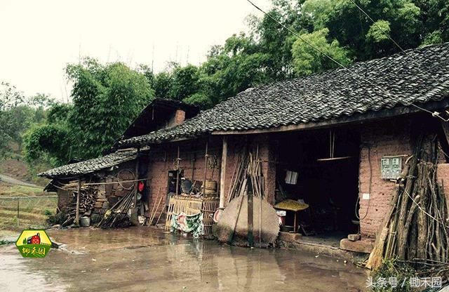 2018农村宅基地又有新规,这三种违法宅基地将