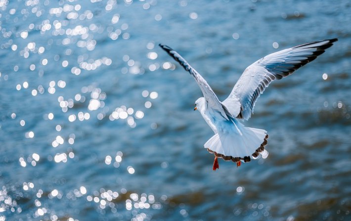 云南宰客频繁,却肆无忌惮!究竟是什么景色给这