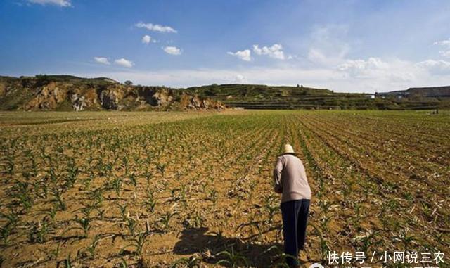 农村土地确权过程中产生误差,面积不准确时农