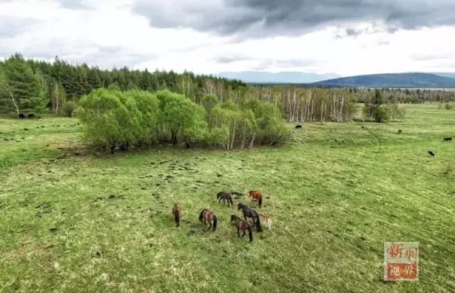 飞阅内蒙古|航拍壮美阿尔山-北京时间