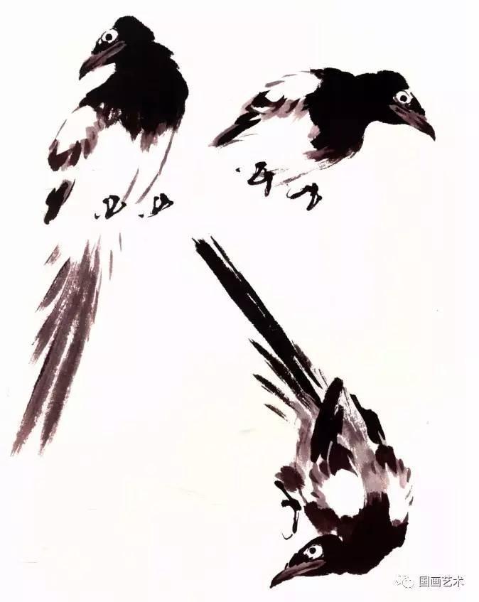 教程| 写意禽鸟之喜鹊的画法解析
