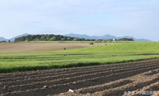 农村土地回收一亩补30万?什么土地符合政府回