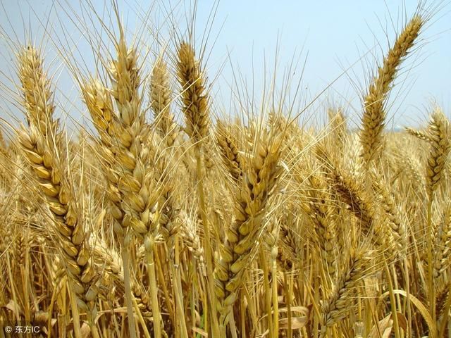 t016c61f696ec004249.jpg?size=640x480