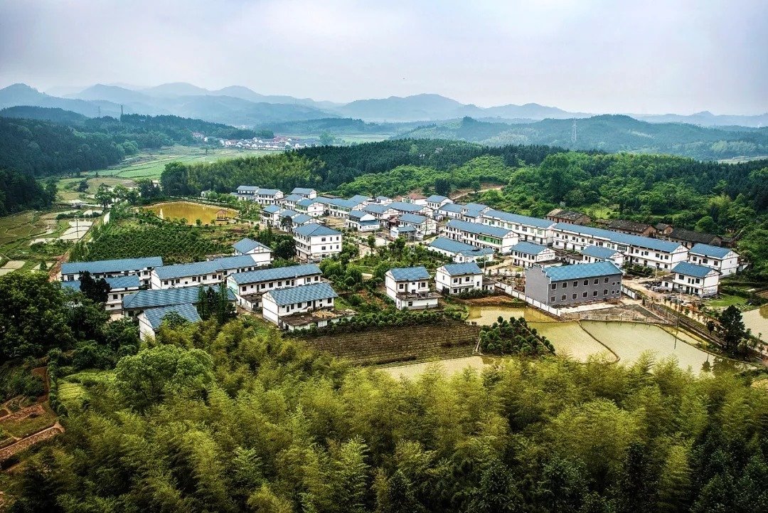 头条 | 2019年中央一号文件发布 释放了这些信