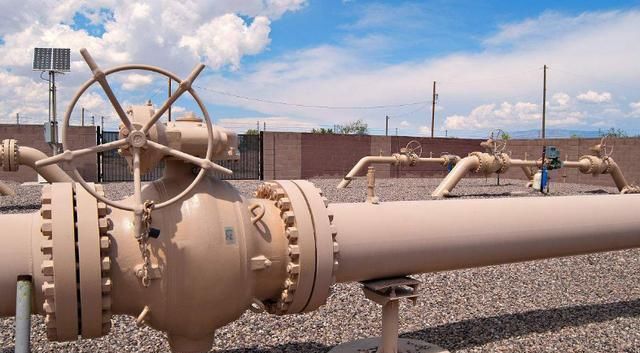 俄罗斯的天然气卖的比中亚贵, 为什么我国还要