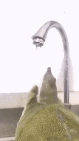 搞笑幽默的动态图GIF 妹子不要把你的头发撩起