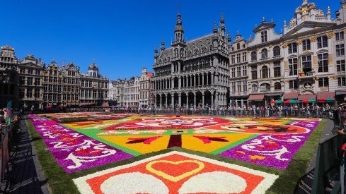 比利时布鲁塞尔举行第22届“鲜花地毯”节 比利时布鲁塞尔举行第22届“鲜花地毯”节