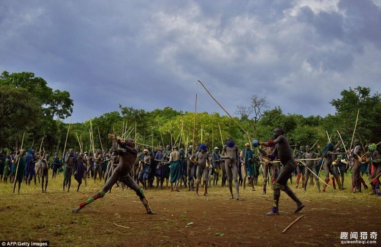 又到了交配的季节 非洲部落赤裸决斗只为求偶