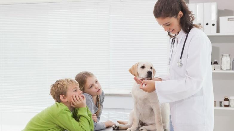 2018高考:被调剂的专业一定冷门?调到这几个