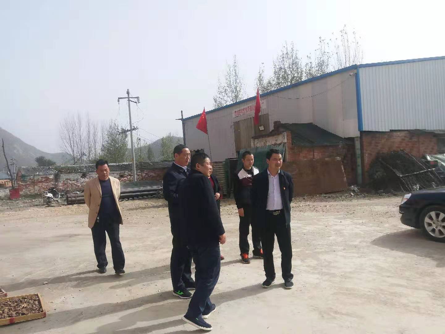 西峡县桑坪镇实地察看进度 强力推进工程(图3) 西峡县桑坪镇实地察看进度 强力推进工程(图3)