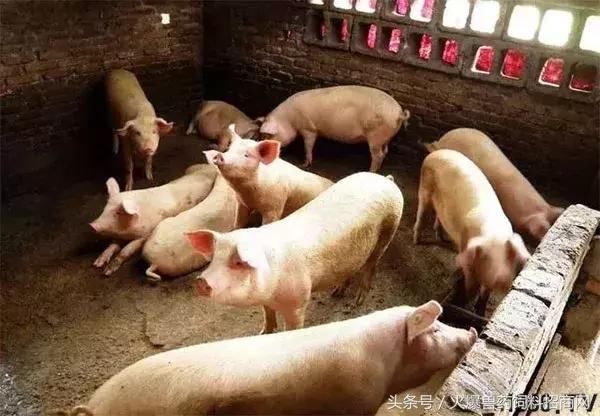 2018年养殖场的拆迁补偿标准是多少?养殖户一