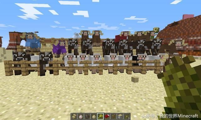 如果《我的世界》举办一场64米短跑比赛 世界