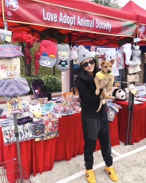 张柏芝回应三胎姓名曝光是什么原因 还原事件的始末终于真相了