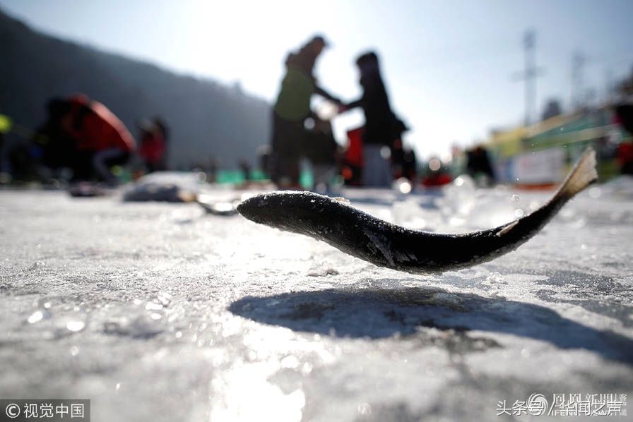 朝韩边境人山人海,韩国人在冰天雪地里不要命
