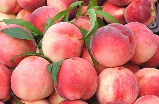 吃桃子有二个禁忌,尤其是第一个很多人经常犯