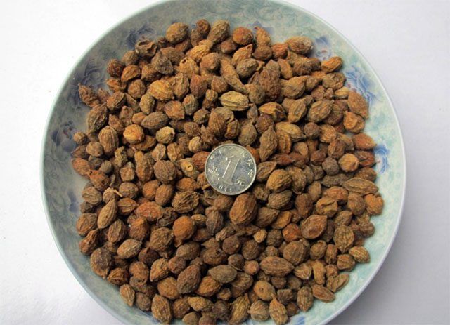 女人年过40岁,3种中药泡水喝,治疗失眠抗衰老