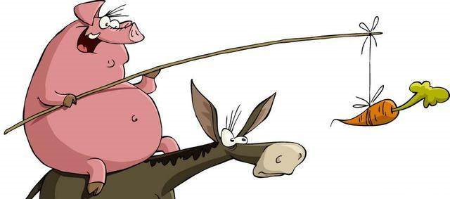 属猪人今年运势动荡多变,需过几个小难关,生意