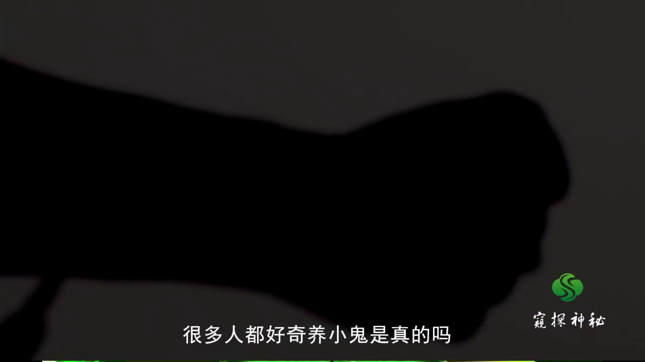 神秘的东南亚降头术，泰国邪术中的“养小鬼”到底有多诡异？
