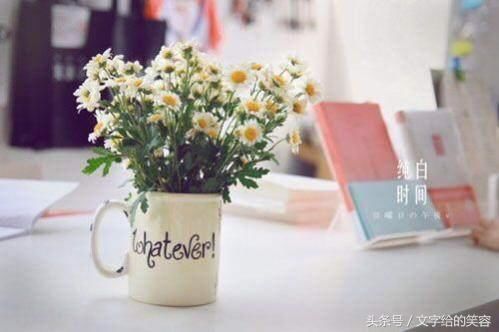 经典人生阅历的10句句子,句句到位