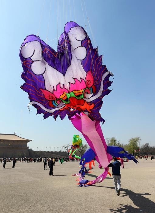 首届丝绸之路国际风筝节现世界最大"滚地龙"