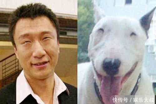 孙红雷和牛头梗撞脸,周冬雨和黄小鸭撞脸,都不