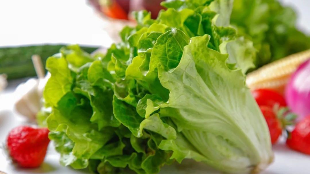 宅家囤菜攻略,必收藏!教您在家种出小菜园,0元实现蔬菜自由! 宅家囤菜攻略,必收藏!教您在家种出小菜园,0元实现蔬菜自由!