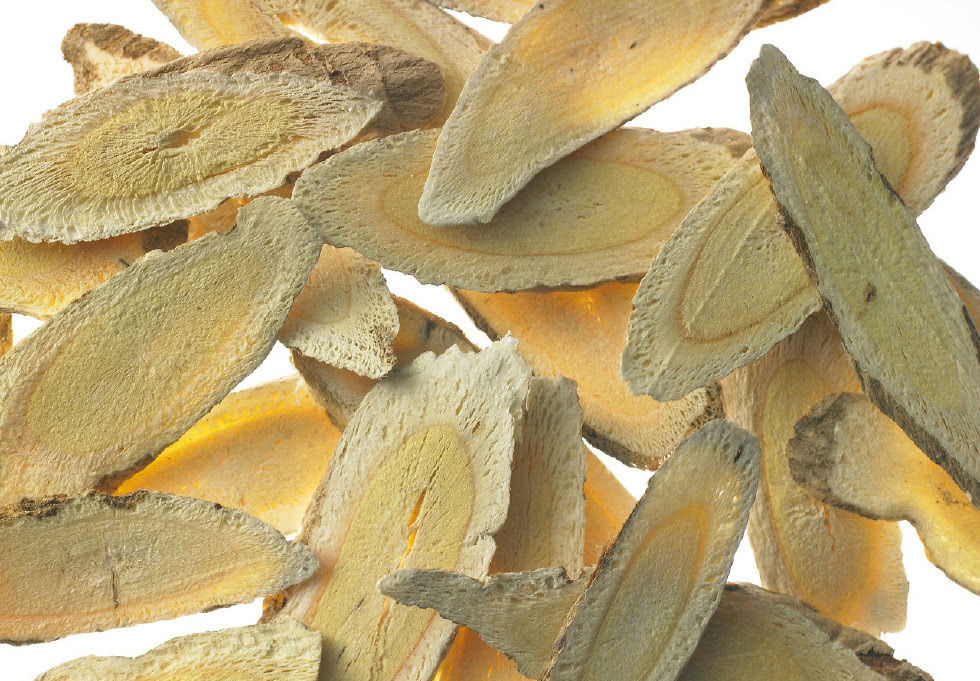 传统中药,黄芪的功效作用与注意事项