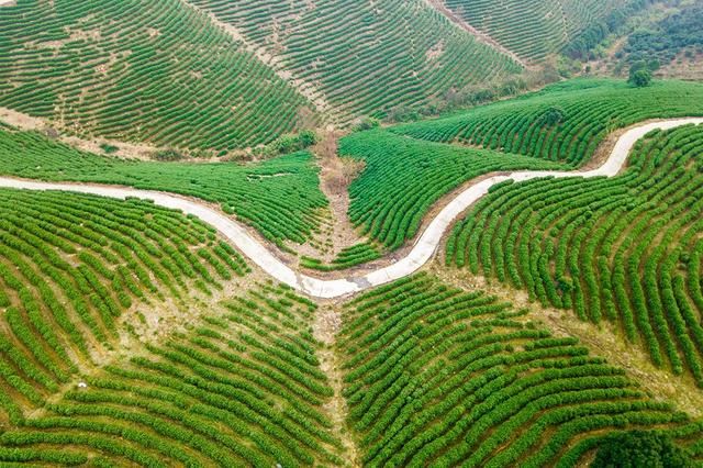 浙江长兴只有农家乐?这些小众地方让你的自驾