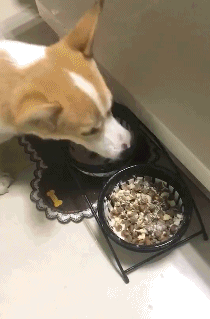 搞笑gif:小姐姐你这么皮,怕是灵魂里就是个逗逼吧