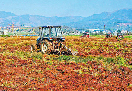 澄江全面启动抚仙湖径流区土地流转休耕轮作