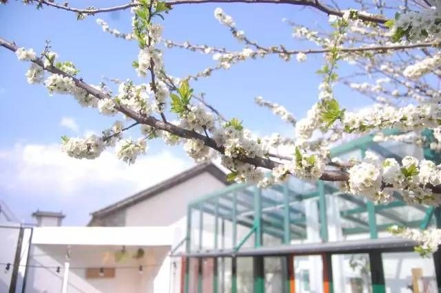 夫妻俩逃离香港,在大理造起一座玻璃房,随手一