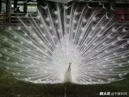 建档立卡贫困户都有什么优惠政策