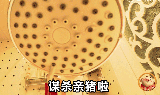 据说最近很火表情包,女生看完都想抱一只回家