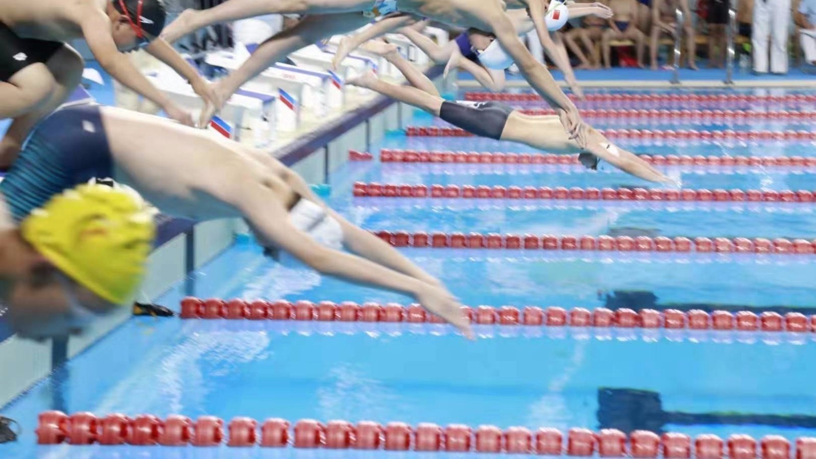 2019年京津冀游泳公开赛在京举行 2200多人参赛 2019年京津冀游泳公开赛在京举行 2200多人参赛