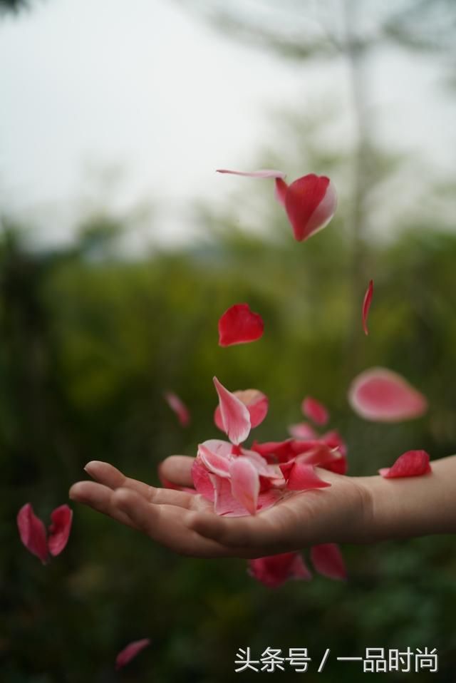 索尼A7III(A7M3)触摸屏功能揭秘