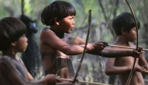 在他们中没有首领，没有权威，不需要等级组织，需求就是法律。他们重视经验，知识不是独有的，都毫无保留地传播。知识是一种公共财富，是连接昨天、今天和明天的遗产。那些先天和后天获得的秘诀(智慧)，保障他们能生活或幸存在森林中。亚马逊部落成员之间没有严格的亲族关系，一夫多妻和一妻多夫制是这个没有战争意识的共同体的家庭关系的基础，社会凝聚力的基础。