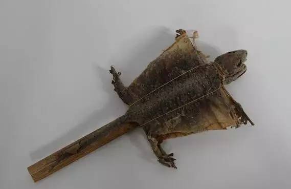 如何提高怀双胞胎几率? 吃什么容易生双胞胎?