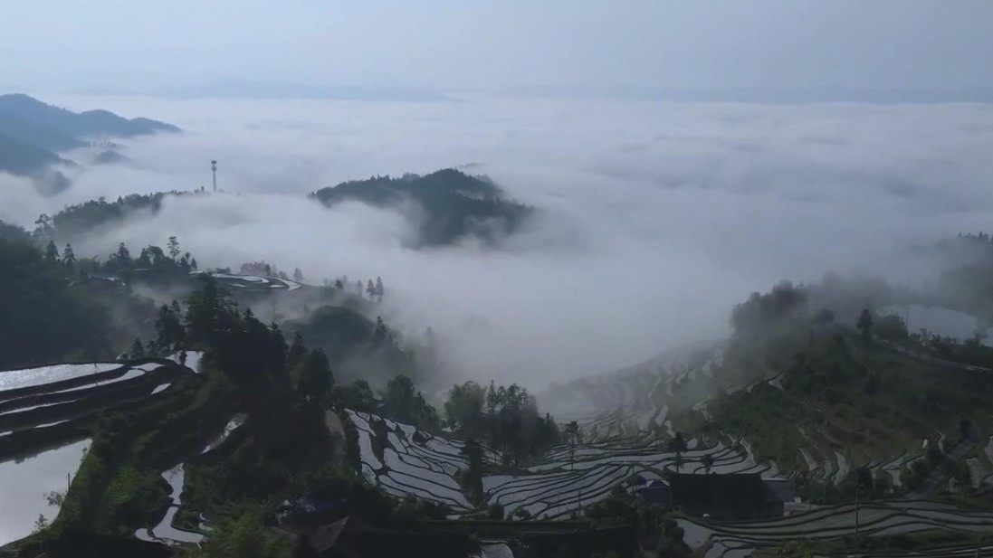 在这里,有一处神奇的梯田!天然自流灌溉系统令人叹为观止 在这里,有一处神奇的梯田!天然自流灌溉系统令人叹为观止