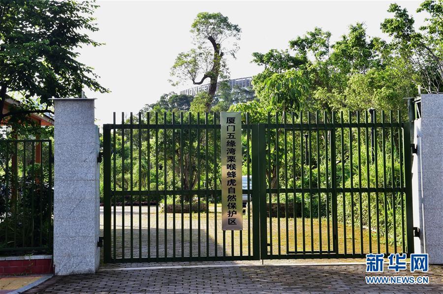 厦门五缘湾栗喉蜂虎自然保护区见闻