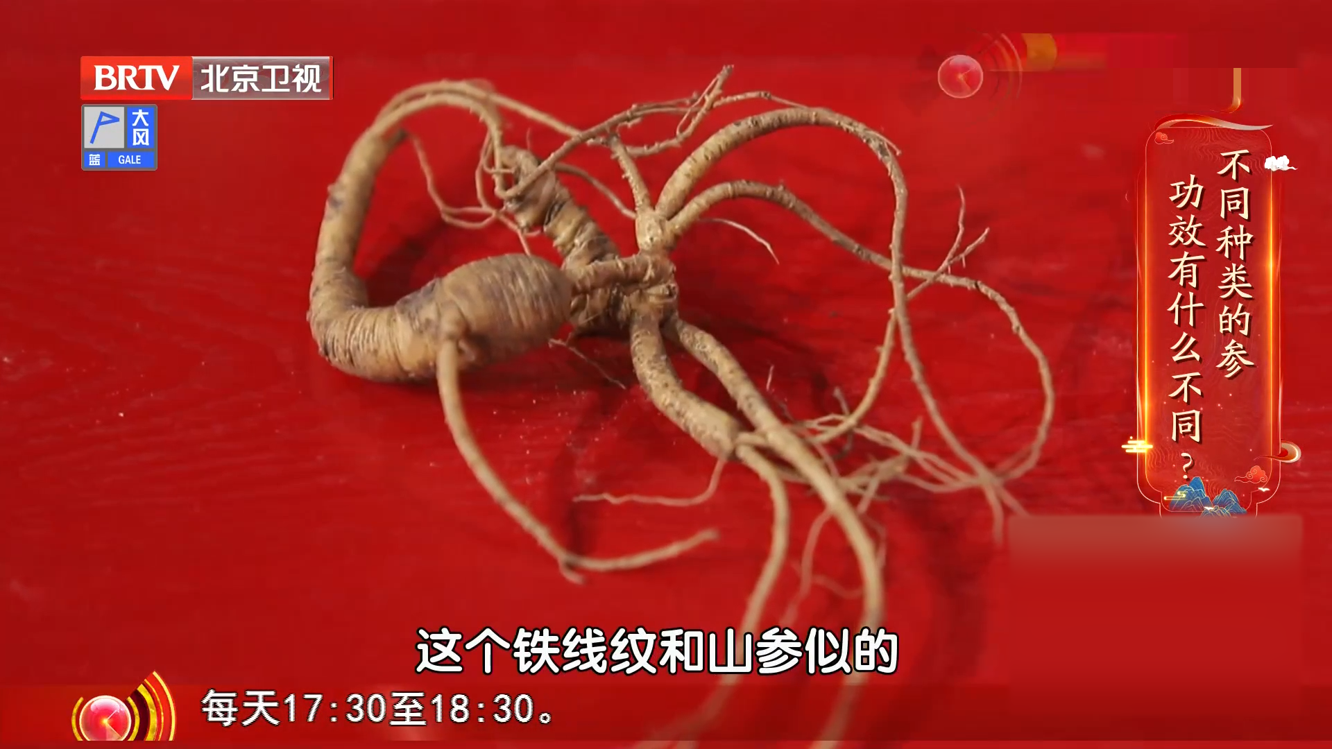 丹参、北沙参、西洋参、玄参……这些不同种类的参，功效有什么不同？