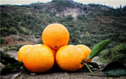 吃脐橙的好处吃脐橙是降火还是上火