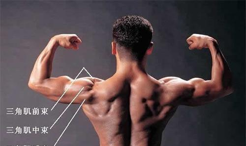6个徒手三角肌锻炼动作, 练宽你肩膀不再需要
